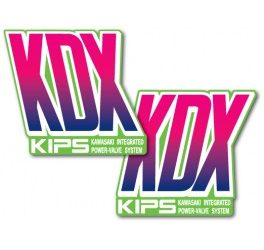 1990 KDX200 tankstickers